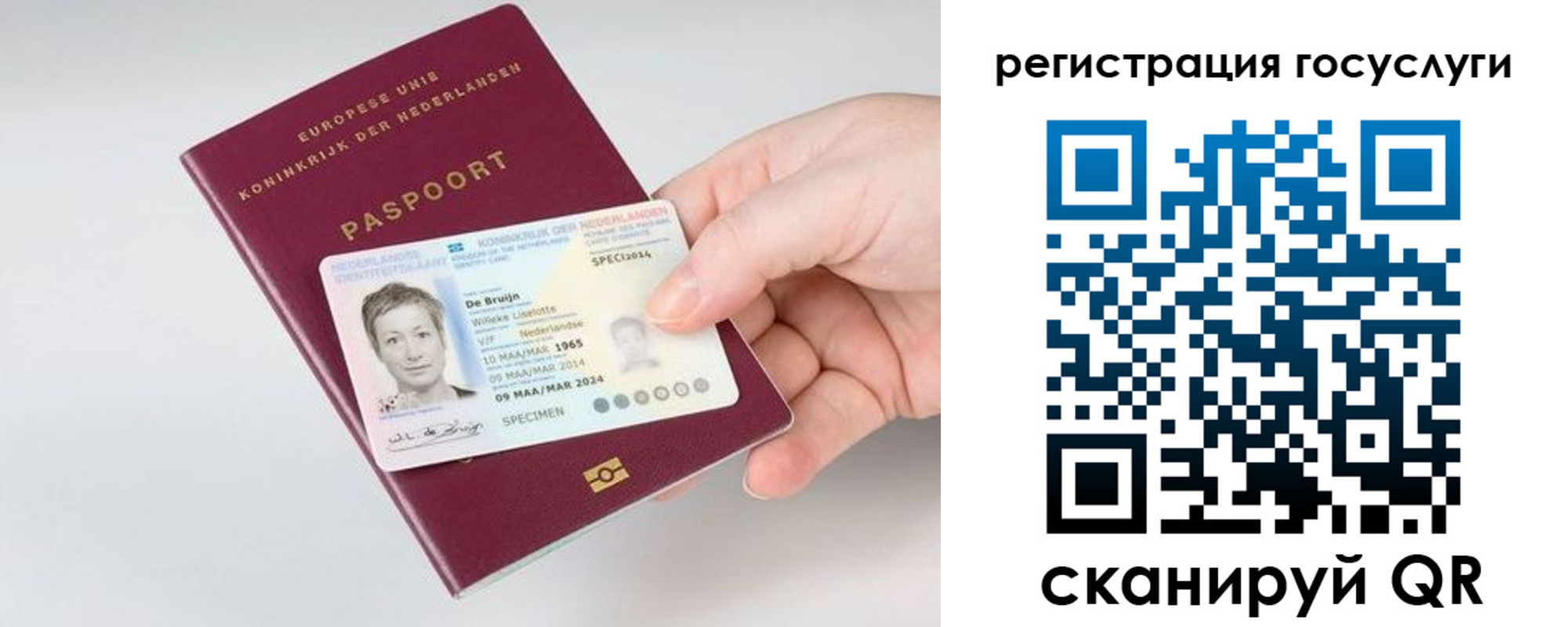 регистрация для дет. сада в Великом Новгороде